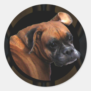 Stickers Chien Boxe