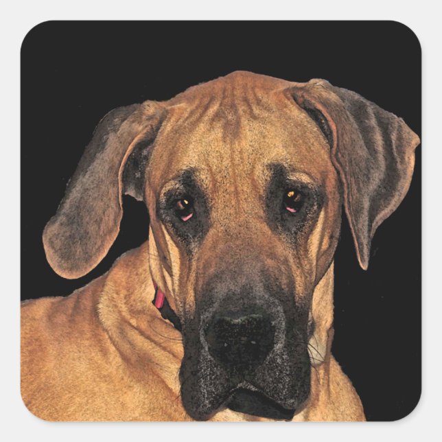 Stickers Chien Danois (Devant)