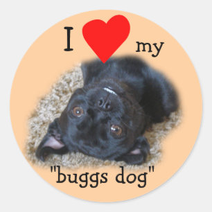 Stickers Chien de Bug - votre photo ou la mienne
