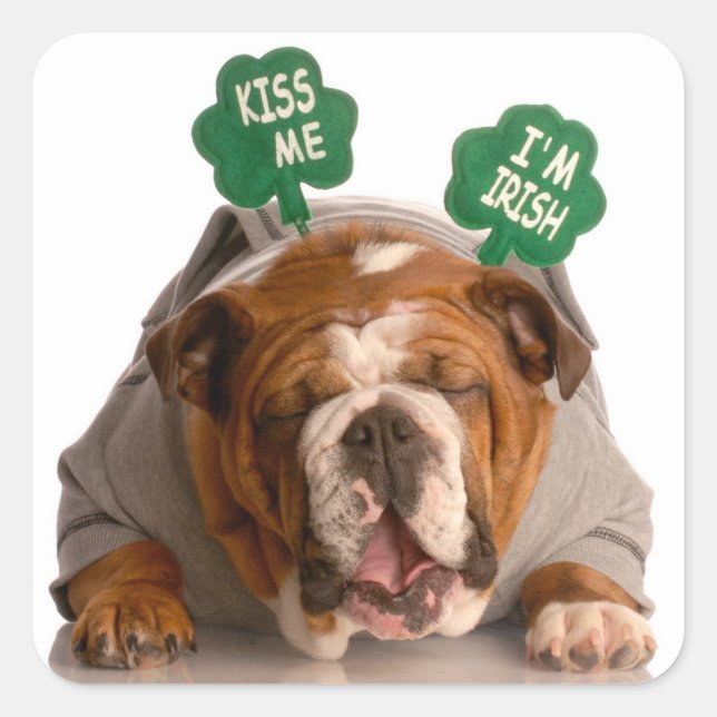 Stickers Chien Drôle (Devant)