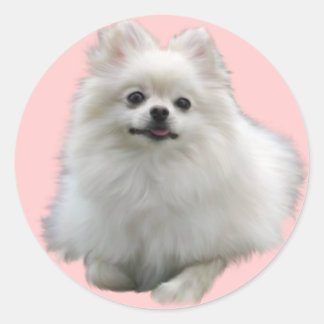 Stickers Chien Lrg