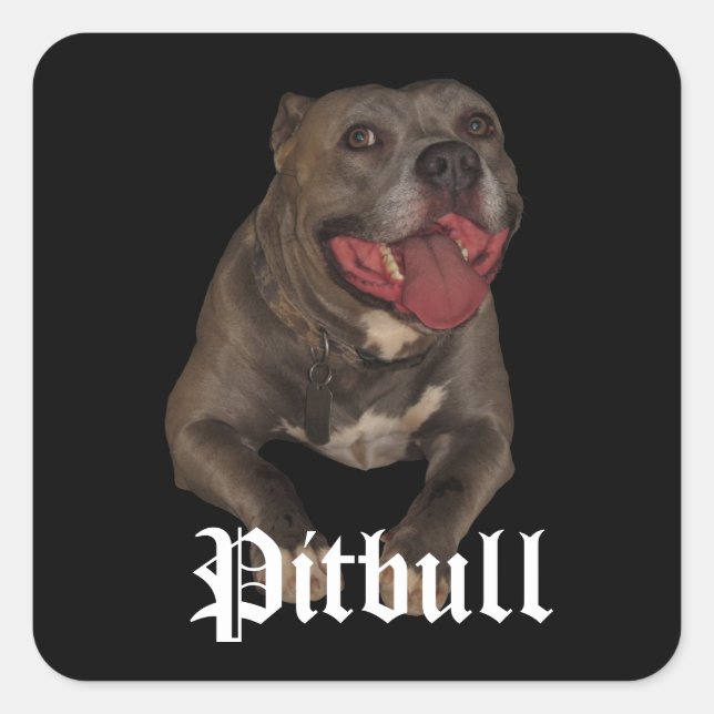 Stickers Chien Pitbull (Devant)