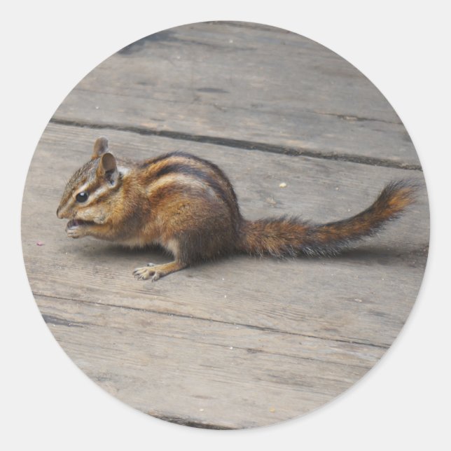Stickers Chipmunk (Devant)