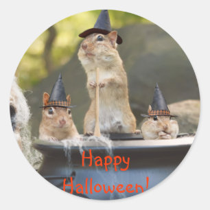 Stickers Chipmunks de cuisine