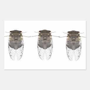 Stickers cicada 