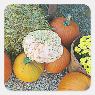 Stickers citrouille et Hay Bale Halloween