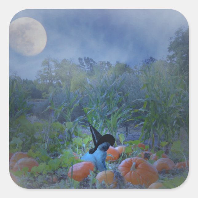 Stickers Citrouille Halloween Super Cute Chat (Devant)