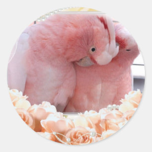 Stickers Cockatoos Roses