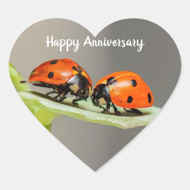 Stickers Coeur Ladybugs Anniversaire (Devant)