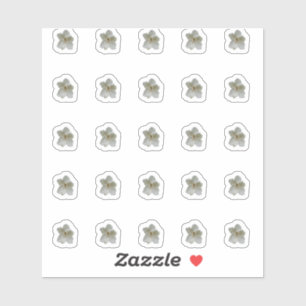 Stickers Contour Magnolia Blanc