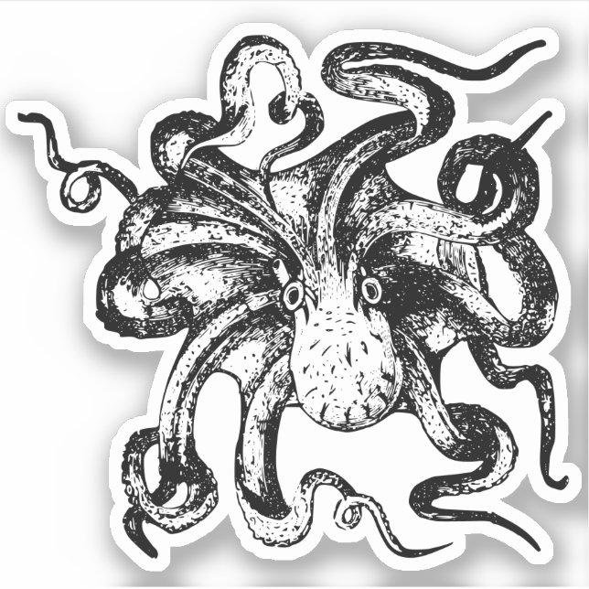 Stickers Contour Octopus (Devant)