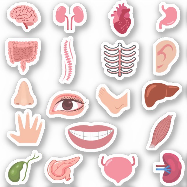 STICKERS CORPORELS HUMAINS (Devant)