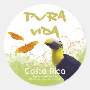 Stickers Costa Rica Pura Vida Toucan