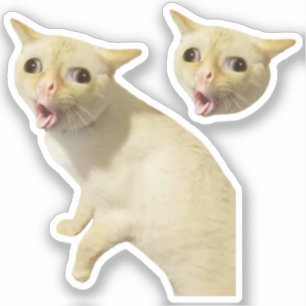 Stickers Coughing Cat Meme