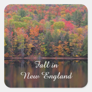 Stickers Couleur automne Feuilles automne