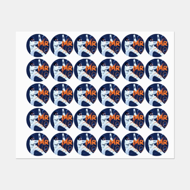 Stickers cricket 2024 (Feuille)