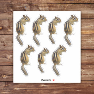 Stickers Cute Chipmunk