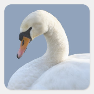 Stickers cygne blanc