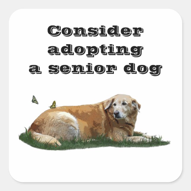 Stickers d'adoption de chiens de races mixtes du L (Devant)