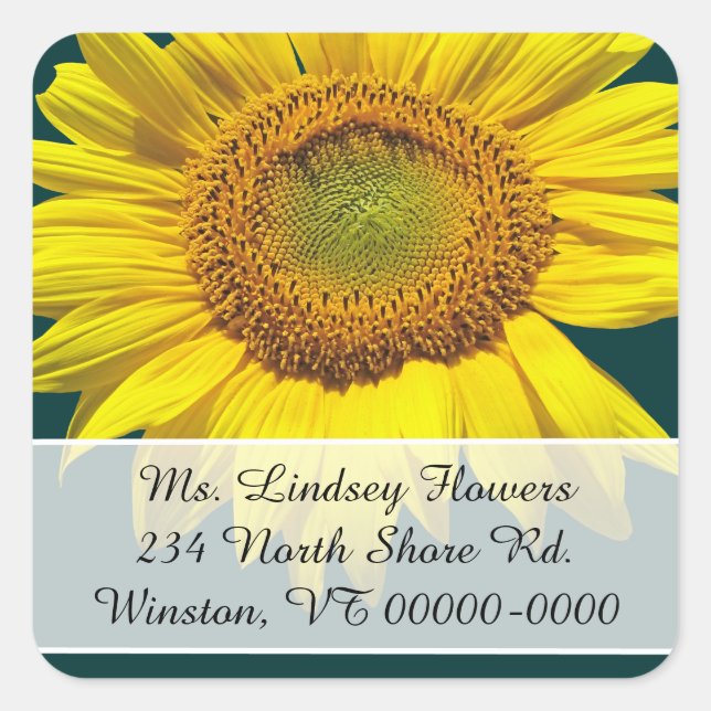 Stickers d'adresse de retour de tournesol turquois (Devant)
