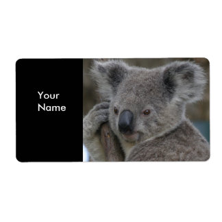 Stickers d'adresse étiquette Koala Bears