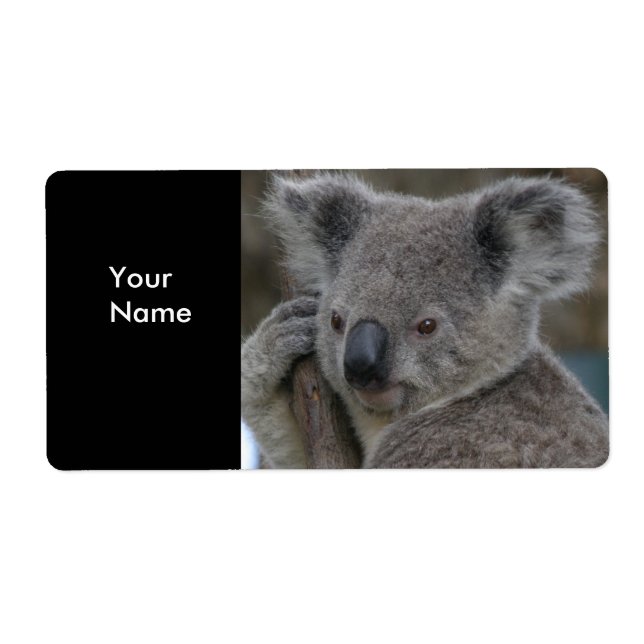 Stickers d'adresse étiquette Koala Bears (Devant)