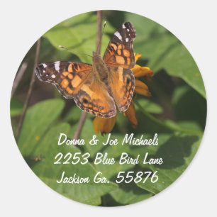 Stickers d'adresse papillon