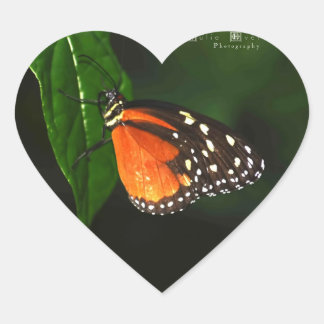 Stickers d'amour papillon