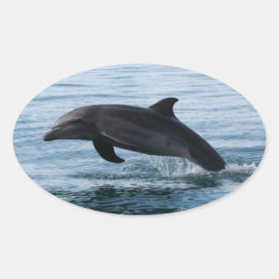 Stickers Dauphin