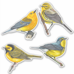 Stickers de blindés Pack de valeur