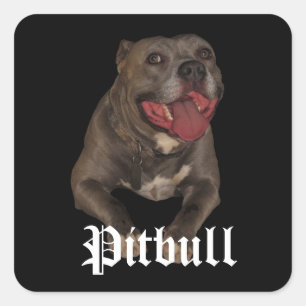 Stickers de chien de Pitbull
