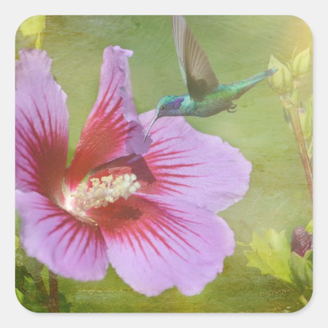 Stickers de collecte des colibris (Devant)