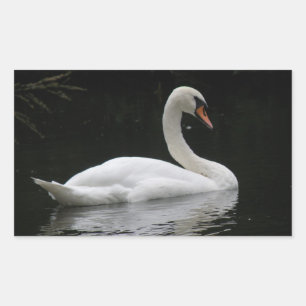 Stickers de cygne blanc gracieux