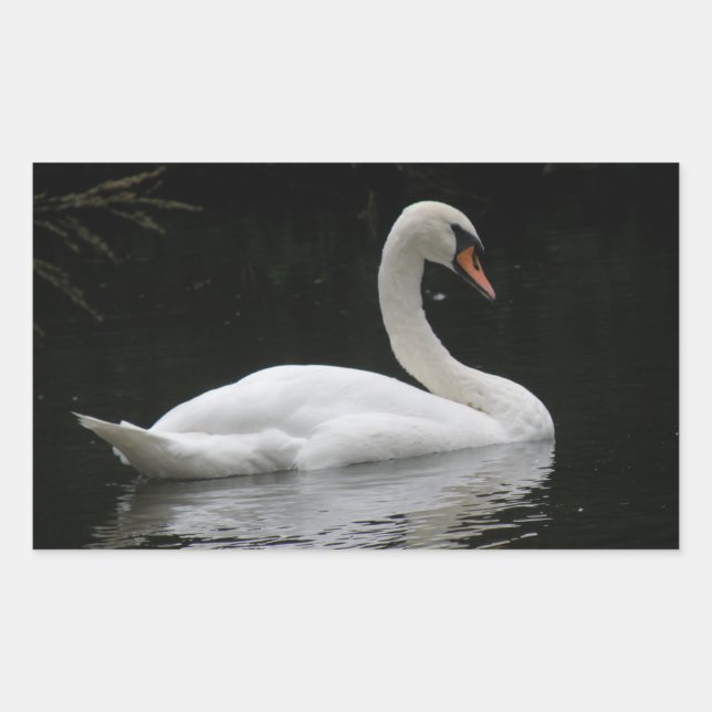 Stickers de cygne blanc gracieux (Devant)