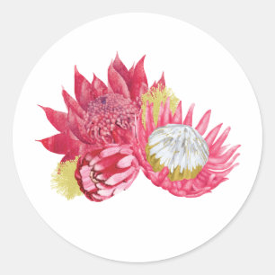 Stickers de fleurs indigènes botaniques