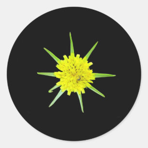 Stickers de fleurs sauvages de la barbe de chèvre