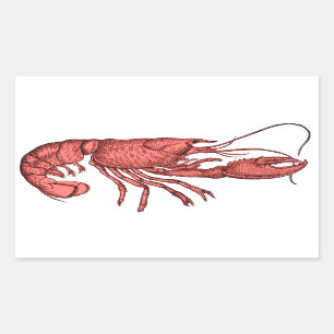 Stickers de homard rouge avec image rétro Vintage