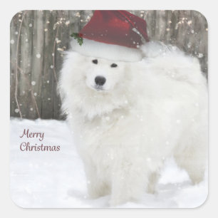 Stickers de Noël Samoyed - 20 Carrés arrondis