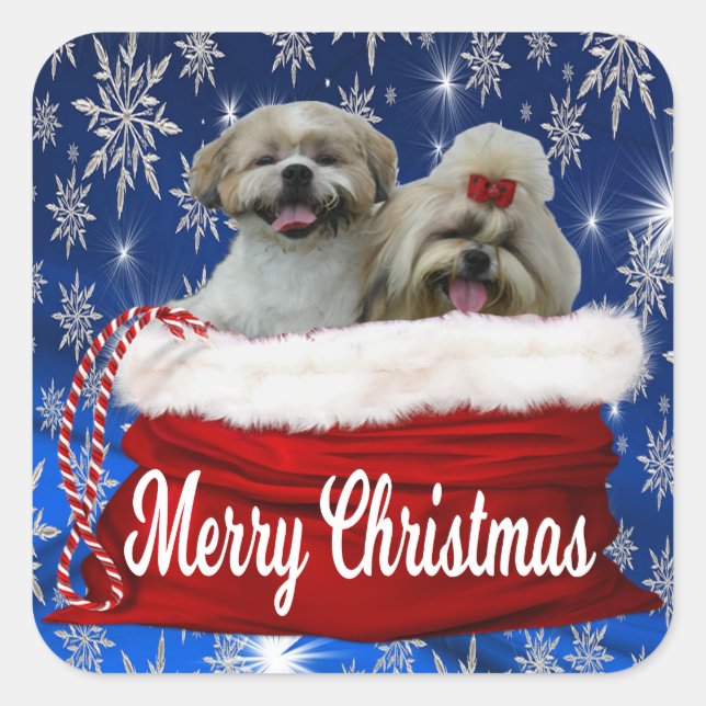 Stickers de Noël Shih tzu (Devant)