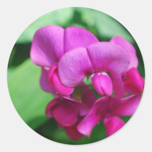 Stickers de pois doux