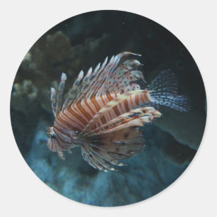 Stickers de poisson rouge
