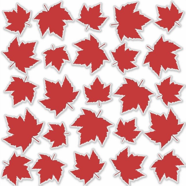 Stickers de vignes de la fenêtre Feuille d'érable  (Devant)