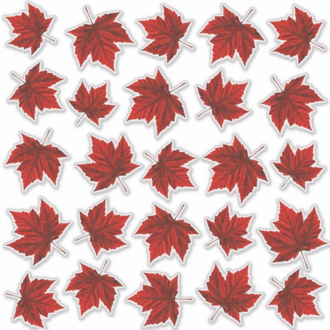 Stickers de vignes de la fenêtre Feuille d'érable  (Devant)