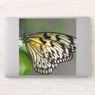 Stickers de vinyle sur mesure de 8 po x 8 po