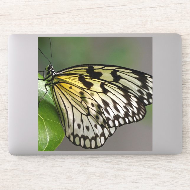 Stickers de vinyle sur mesure de 8 po x 8 po (Ordinateur)