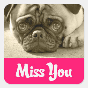 Stickers de voeux pour chien chiot Carlin Miss You