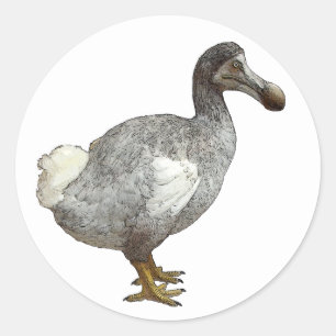 Stickers Dodo Bird