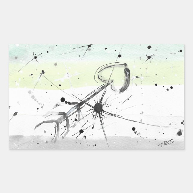 Stickers Drapeau Aromanttique (Aro) TROS (Devant)