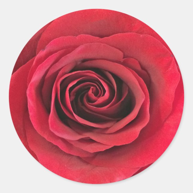 Stickers en forme ronde rose rouge (Devant)