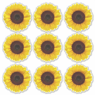Stickers en vinyle beurré jaune vif